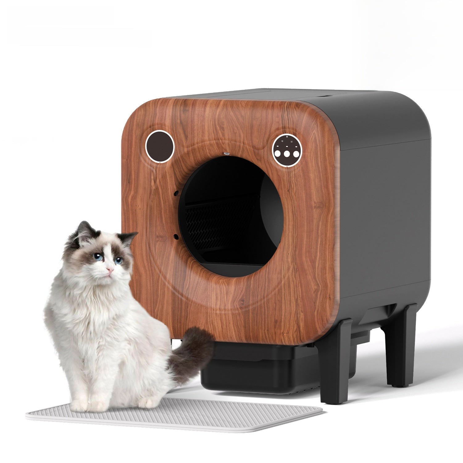 Smart cat litter box