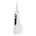 Portable smart electric dental flosser